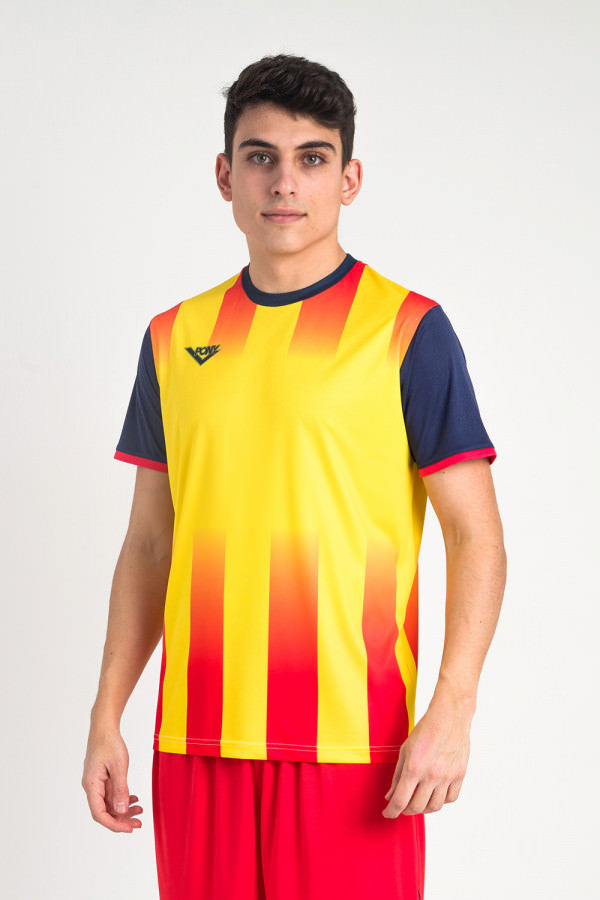 Referencia 005 -C2335 CAMISETA TRICOLOR